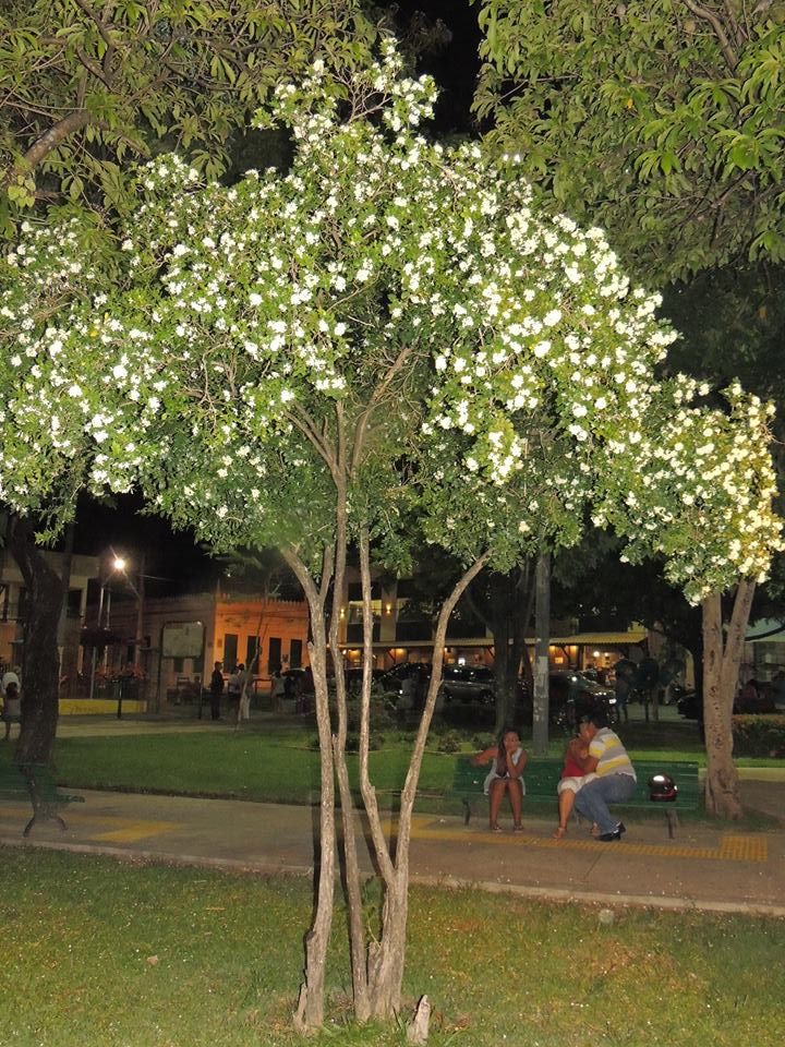 10931439_960193753991568_3088122824907995056_n