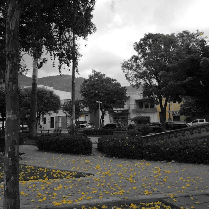 11041809_990692754275001_1743888940672639482_n