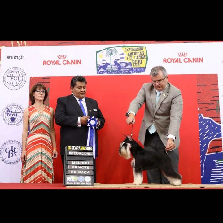 34502290_1765304716894013_694193115921121280_n