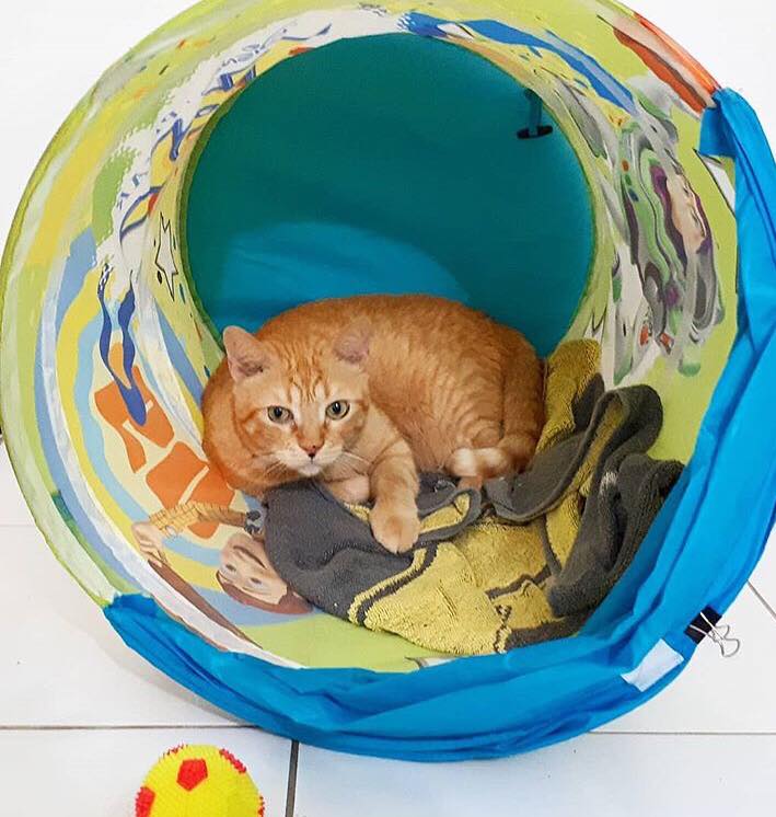 39012910_1937087176589922_4908140007115456512_n