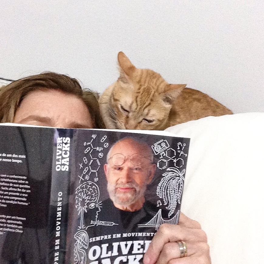 39060121_484948585307370_3071407658276749312_n