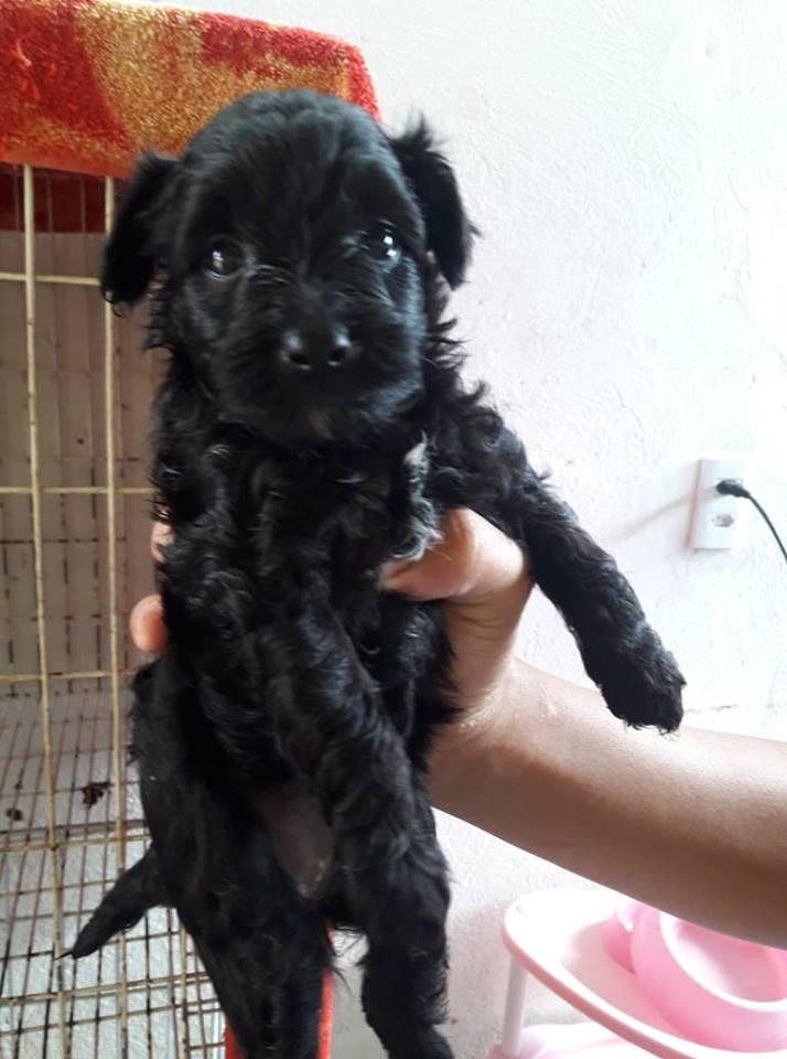 39090163_302482813646746_7065983468420726784_n