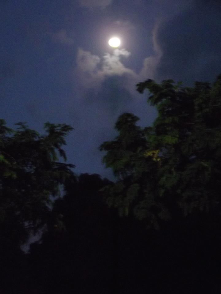 73900_508091732535108_1649921093_n - Copia