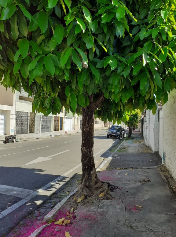 109062098_298354751372721_7538597040136120385_n