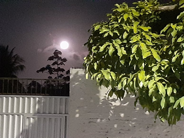 110315399_1419547811578813_7567688215712079452_n