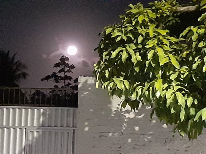 110315399_1419547811578813_7567688215712079452_n