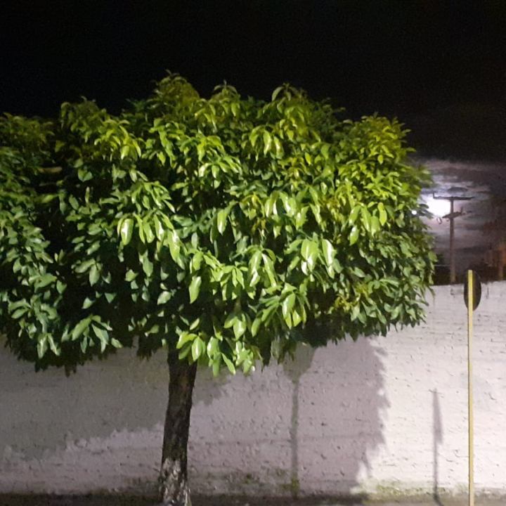 115650284_213993143246758_2422665989036364201_n