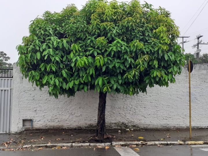 116097802_743833099727388_2178448560809740030_n