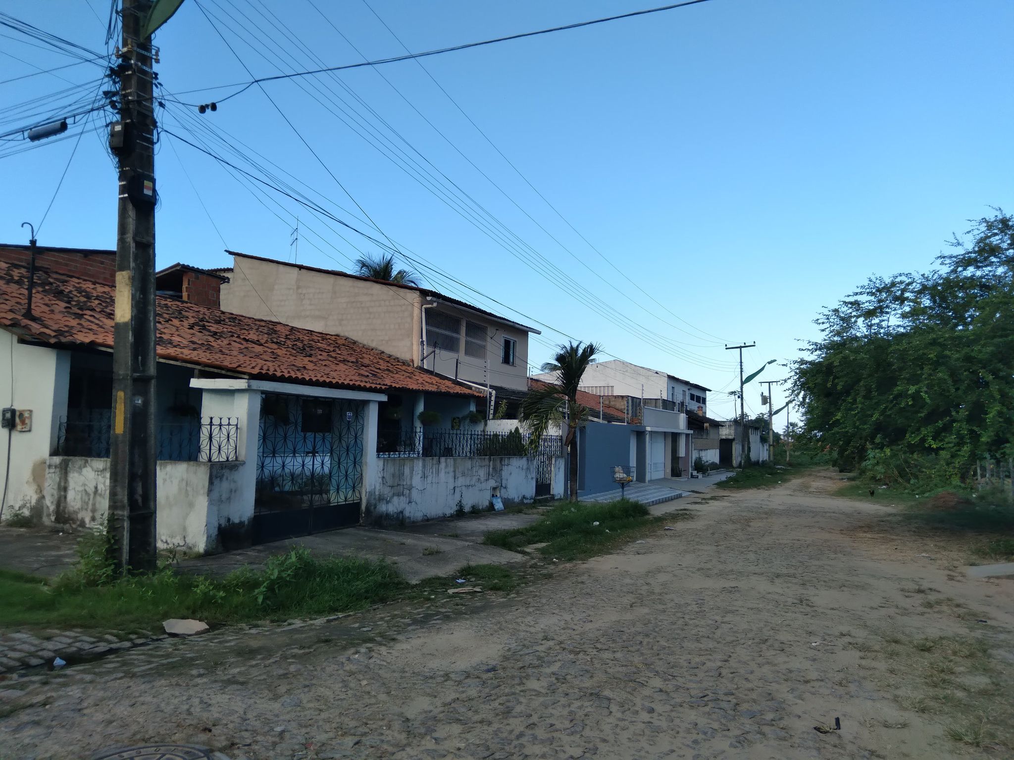 194005062_486252275943216_8229051171400431065_n