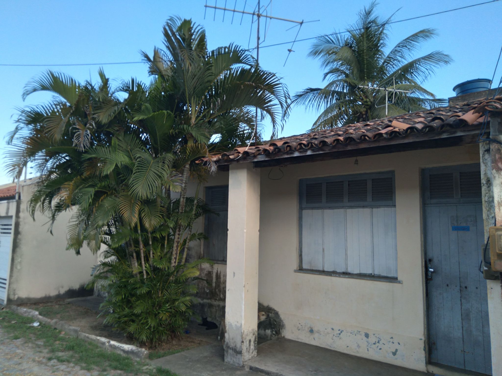 196757971_330579215092174_1351055998077943657_n